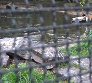 Tierpark 
