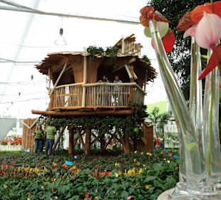 Im Glashaus