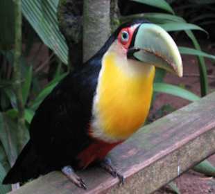 Exotische Fauna und Flora zum anfassen