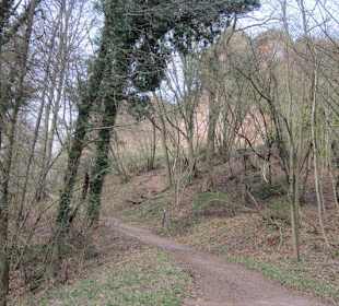 Schöne Burgruine Drachenfels