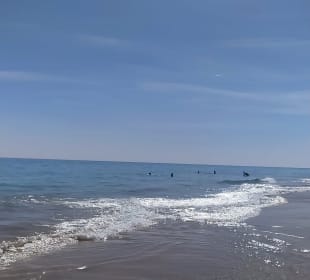 Strand Playa de Esquinzo / Playa de Butihondo