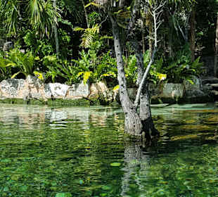 Santi Tour/Playa del Carmen - Cenote