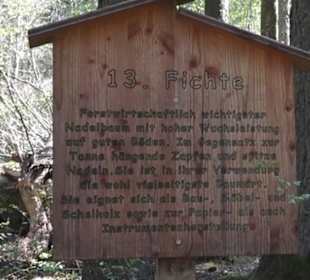 Waldlehrpfad an der Lauter