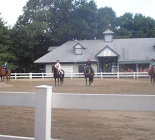 Gruppenbild Parade of Breeds