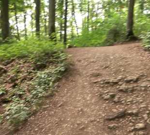 Burg Alt-Lichtenstein