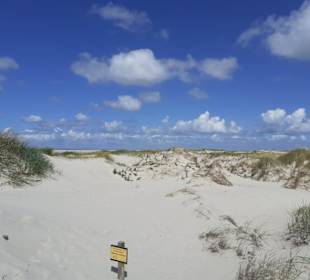 Strand St. Peter Ording in St. Peter-Ording