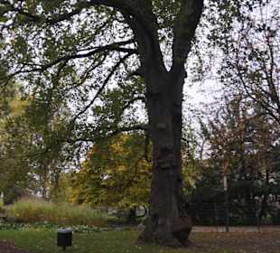Parkanlage Planten un Blomen