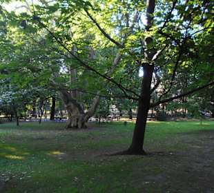 Park Planty krakowskie