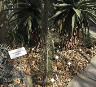 Botanischer Garten