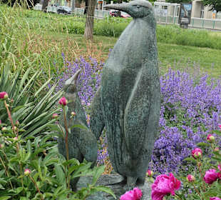 Die Pinguine beim Springbrunnen am Ulrichplatz