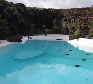 Pool in Jameos del Agua