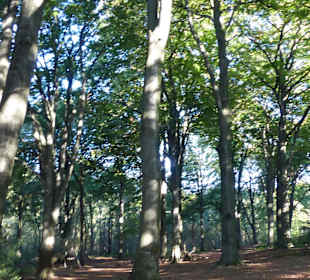 Abwechselungsreicher Weg