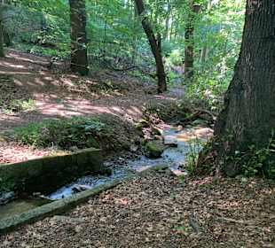 Wandern Bad Harzburg