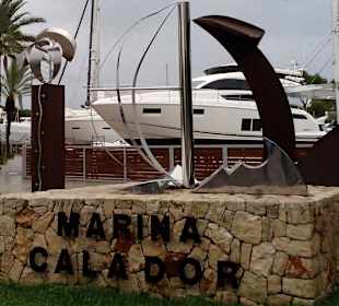 Mallorca Sailing Tours in Cala d'Or