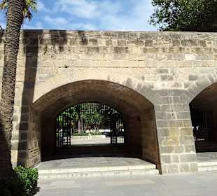 Wehrmauer Kathredale Palma 