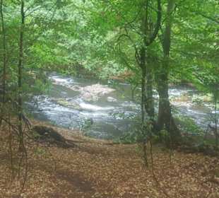 Entlang der Bode