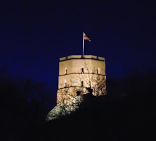Burg Gediminas