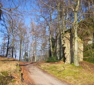 Burgruine Neuscharfeneck