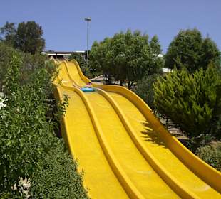 Mit einem Affenzahn gehts runter