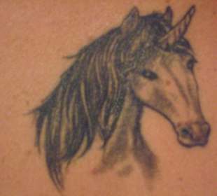 Einhorn
