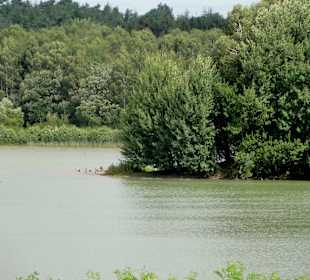 Auf dem Rundweg um den Dammer Bergsee
