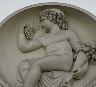 Staatliches Museum für Naturkunde