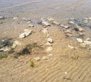 Strand in Bibione Juni 2012