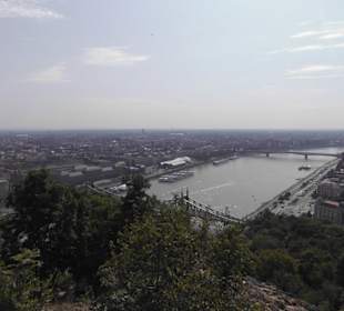 Blick auf die Donau.