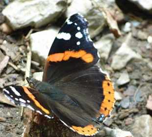 Klettergebiet Mazet-Plage