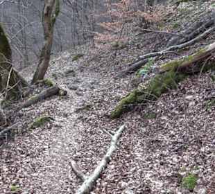 Wasserfallsteig