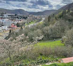 Stadtrundgang Bad Kreuznach