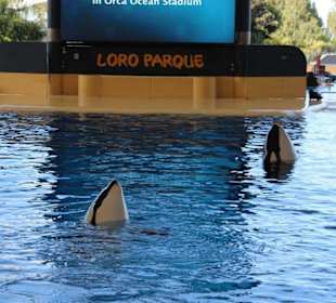 Loro Park