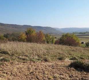 Blick in die Landschaft