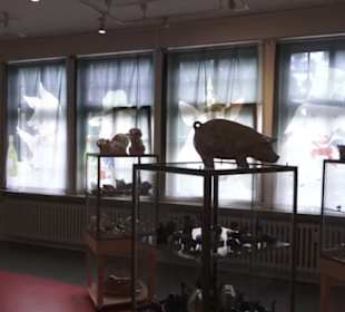 SchweineMuseum