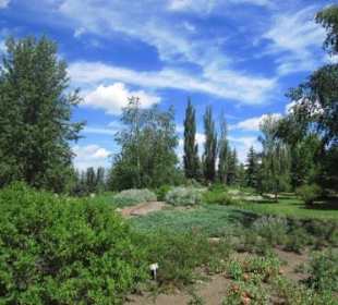 Panoramaansicht, botanischer Garten von Devon
