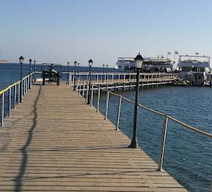 Steg zum Hausriff bzw.zum Boot zum Tauchen!