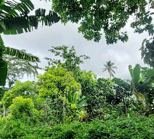 Parque Natural Obô do Príncipe