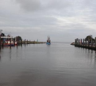 Der Hafen von Fedderwardersiel