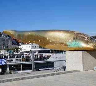 Goldener Waller, Sinnbild Regensburg