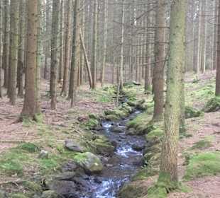 Wandern Hohenwarth