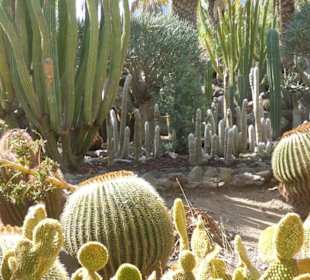 Kaktuspark