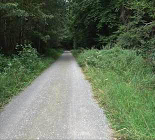 Sonnenaufgangs-Rundwanderung Rübgarten