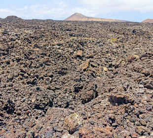 Die junge Lava hat noch keinen Bewuchs