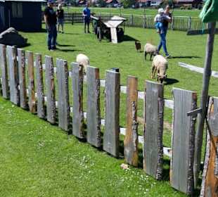 Alle Gehege sind begehbar, die Tiere sind nahbar