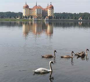 Schloss Moritzburg