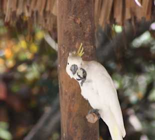 Manati Park