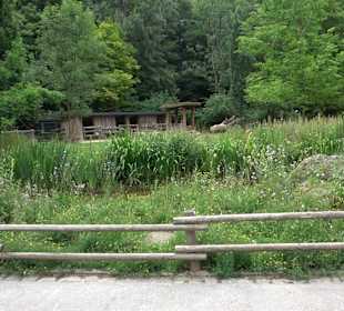 Tierpark Hellabrunn
