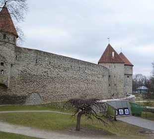Mury Tallinna