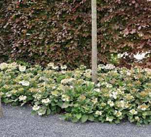 Anlage im Erholungsort