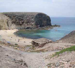 El Papagayo